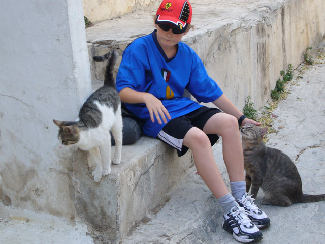 0851_Plaka_cats